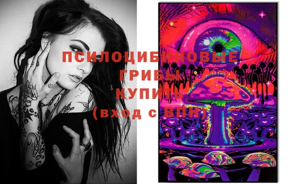 стафф Вязьма